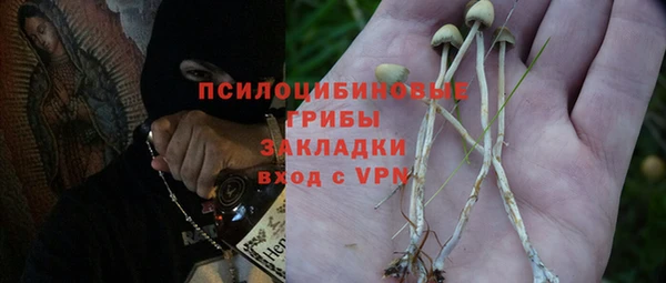 синтетический гашиш Алексин