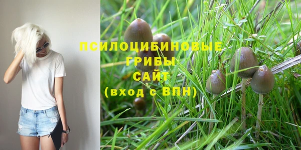 синтетический гашиш Алексин