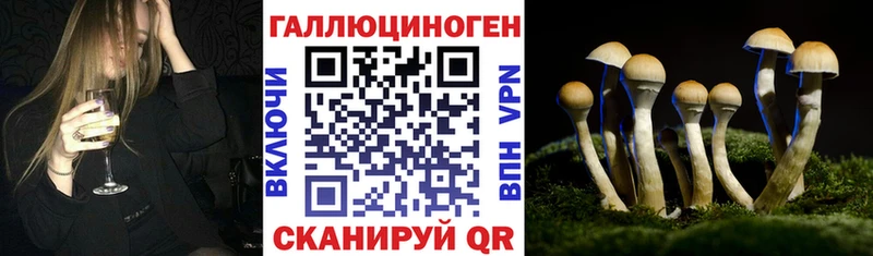 где можно купить Невинномысск OMG ссылка Псилоцибиновые грибы ЛСД