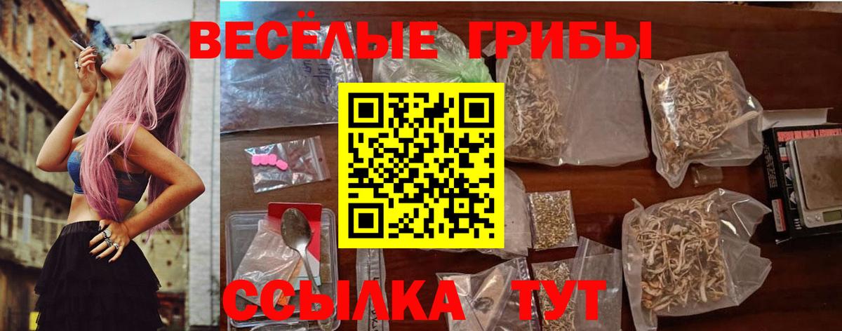 Псилоцибиновые грибы GOLDEN TEACHER Невинномысск