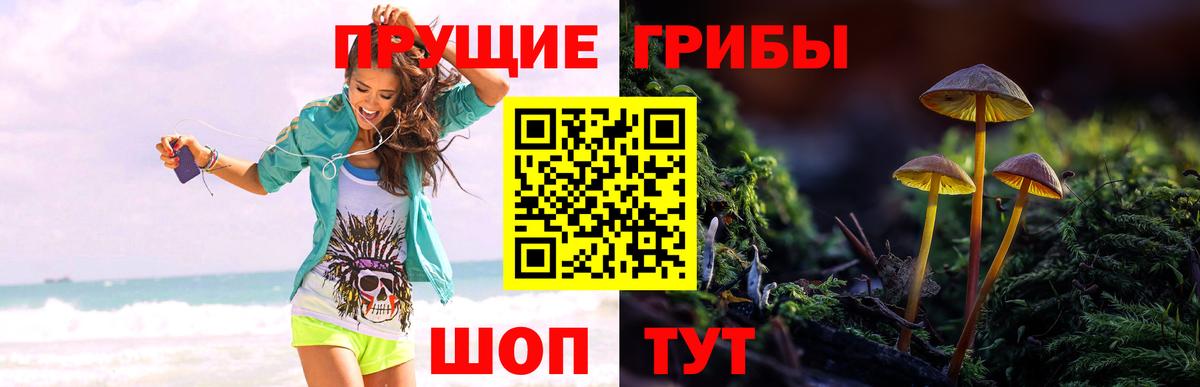Псилоцибиновые грибы MAGIC MUSHROOMS  Вход с VPN  Невинномысск 